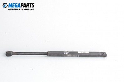 Tije telescopice, portbagaj for Fiat Punto Hatchback II (09.1999 - 07.2012)