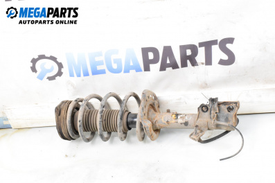 MacPherson-federbein for Nissan Qashqai I SUV (12.2006 - 04.2014), suv, position: links, vorderseite