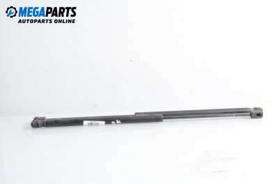 Stoßdämpfer heckklappe for Renault Scenic II Minivan (06.2003 - 07.2010)