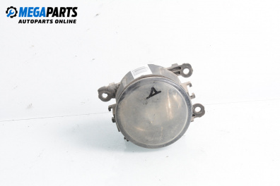 Nebelleuchte for Renault Scenic II Minivan (06.2003 - 07.2010), minivan, position: rechts