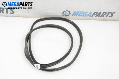 Cheder portieră for Renault Scenic II Minivan (06.2003 - 07.2010), 5 uși, monovolum, position: dreaptă - spate