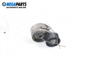 Belt tensioner for Peugeot 206 Hatchback (08.1998 - 12.2012) 1.9 D, 69 hp