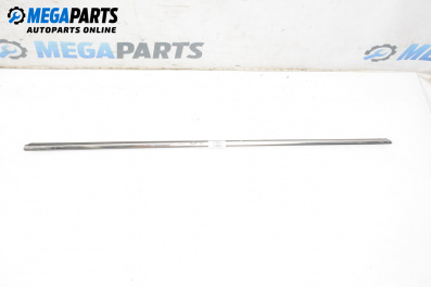 Außenleiste for Mini Hatchback I (R50, R53) (06.2001 - 09.2006), hecktür, position: rechts