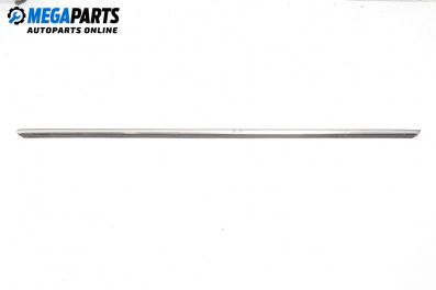 Außenleiste for Mini Hatchback I (R50, R53) (06.2001 - 09.2006), hecktür, position: links