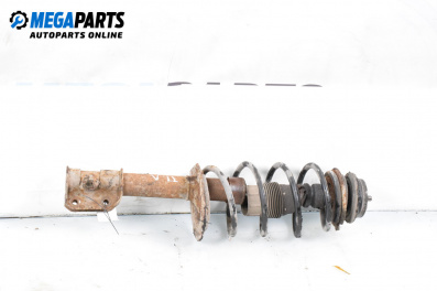 MacPherson-federbein for Fiat Punto Hatchback II (09.1999 - 07.2012), hecktür, position: links, vorderseite