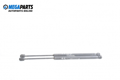 Stoßdämpfer heckklappe for Fiat Punto Hatchback II (09.1999 - 07.2012)