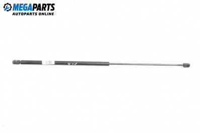 Tije telescopice, portbagaj for Audi A6 Avant C5 (11.1997 - 01.2005)