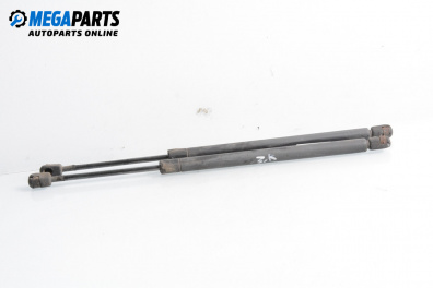 Tije telescopice, portbagaj for Ford Focus I Hatchback (10.1998 - 12.2007)