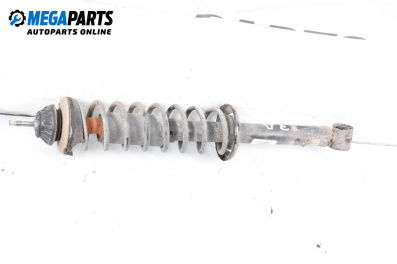 MacPherson-federbein for Seat Ibiza II Hatchback (03.1993 - 05.2002), hecktür, position: rechts, rückseite