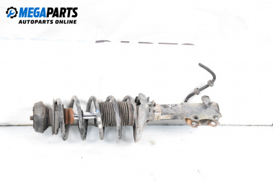 MacPherson-federbein for Seat Ibiza II Hatchback (03.1993 - 05.2002), hecktür, position: links, vorderseite