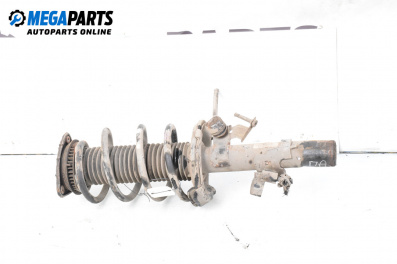 MacPherson-federbein for Ford Focus C-Max (10.2003 - 03.2007), minivan, position: rechts, vorderseite