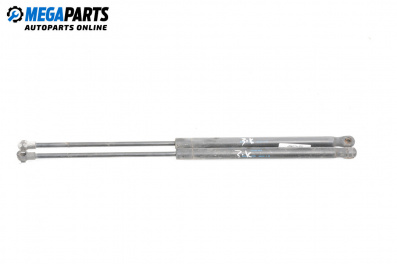 Stoßdämpfer heckklappe for Seat Ibiza III Hatchback (02.2002 - 11.2009)