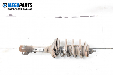 MacPherson-federbein for Volkswagen Golf IV Hatchback (08.1997 - 06.2005), hecktür, position: rechts, vorderseite