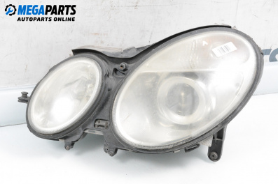 Scheinwerfer for Mercedes-Benz E-Class Sedan (W211) (03.2002 - 03.2009), sedan, position: links