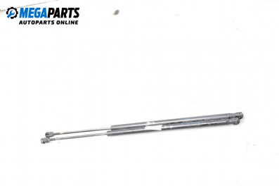 Tije telescopice, portbagaj for Ford Fiesta V Hatchback (11.2001 - 03.2010)