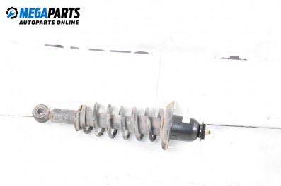 MacPherson-federbein for Toyota Corolla E12 Hatchback (11.2001 - 02.2007), hecktür, position: rechts, rückseite