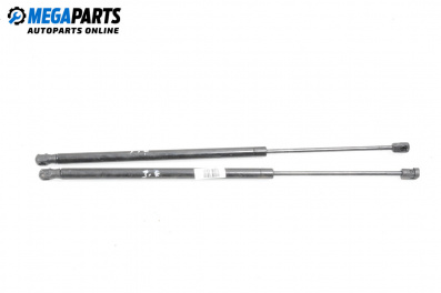 Tije telescopice, portbagaj for Renault Scenic I Minivan (09.1999 - 07.2010)