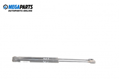 Tije telescopice, portbagaj for Renault Megane II Hatchback (07.2001 - 10.2012)