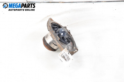 Wasserpumpe for Renault Megane II Hatchback (07.2001 - 10.2012) 1.9 dCi (BM0G, CM0G), 120 hp