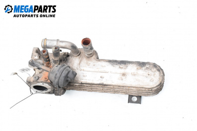 EGR kühler for Audi A3 Hatchback II (05.2003 - 08.2012) 2.0 TDI 16V, 140 hp