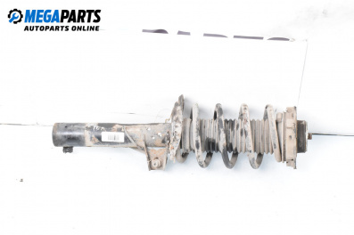 MacPherson-federbein for Audi A3 Hatchback II (05.2003 - 08.2012), hecktür, position: links, vorderseite
