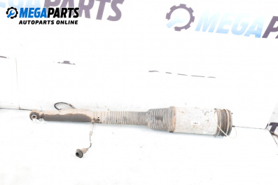 Luft-stoßdämpfer for Mercedes-Benz S-Class Sedan (W220) (10.1998 - 08.2005), sedan, position: rechts, rückseite