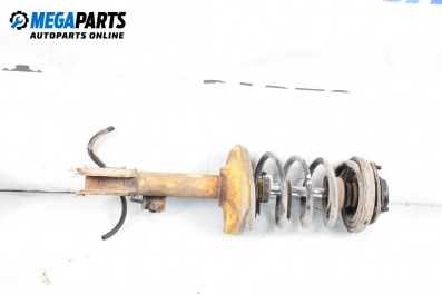 MacPherson-federbein for Nissan X-Trail I SUV (06.2001 - 01.2013), suv, position: links, rückseite