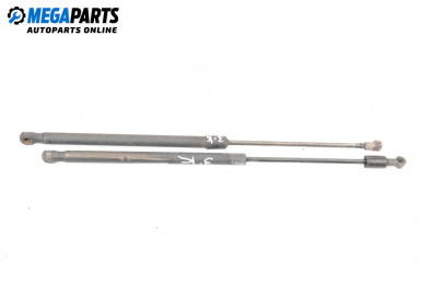 Tije telescopice, portbagaj for Mercedes-Benz C-Class Estate (S203) (03.2001 - 08.2007)