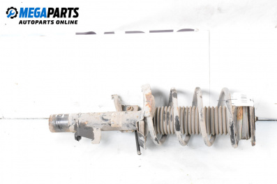 MacPherson-federbein for Ford Focus II Hatchback (07.2004 - 09.2012), hecktür, position: rechts, vorderseite