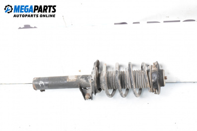 MacPherson-federbein for Audi A3 Hatchback II (05.2003 - 08.2012), hecktür, position: rechts, vorderseite