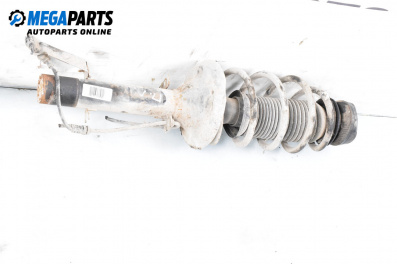 Dämpfer for Volkswagen Golf IV Hatchback (08.1997 - 06.2005), hecktür, position: rechts, vorderseite
