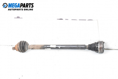 Driveshaft for Audi A3 Sportback I (09.2004 - 03.2015) 1.9 TDI, 105 hp, position: front - right
