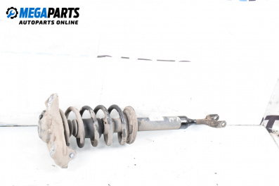 Amortizor McPherson for Volkswagen Passat IV Variant B5.5 (09.2000 - 08.2005), combi, position: stânga - fața