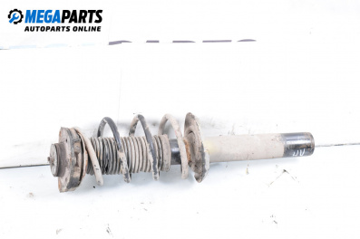 Macpherson shock absorber for Volkswagen Caddy III (03.2004 - 05.2015), minivan, position: front - left