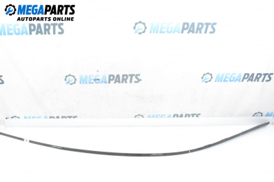 Leiste dachhimmel for Mercedes-Benz B-Class Hatchback I (03.2005 - 11.2011), hecktür, position: links