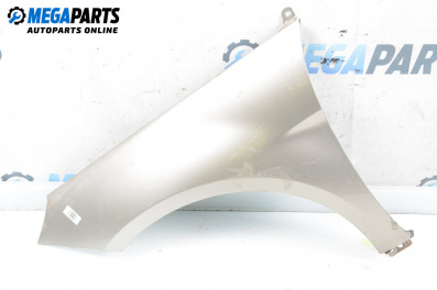 Fender for Mercedes-Benz B-Class Hatchback I (03.2005 - 11.2011), 5 doors, hatchback, position: front - left