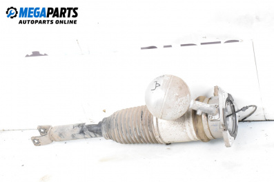 Luft-stoßdämpfer for Volkswagen Phaeton Sedan (04.2002 - 03.2016), sedan, position: rechts, rückseite