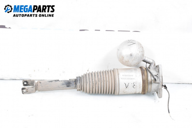 Luft-stoßdämpfer for Volkswagen Phaeton Sedan (04.2002 - 03.2016), sedan, position: links, rückseite