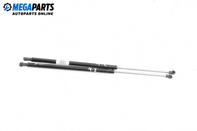 Stoßdämpfer heckklappe for Renault Scenic I Minivan (09.1999 - 07.2010)