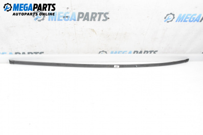 Außenleiste for Renault Scenic I Minivan (09.1999 - 07.2010), minivan, position: links