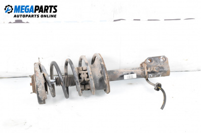 MacPherson-federbein for Renault Scenic I Minivan (09.1999 - 07.2010), minivan, position: rechts, vorderseite