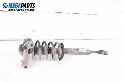 MacPherson-federbein for Volkswagen Passat III Sedan B5 (08.1996 - 12.2001), sedan, position: rechts, vorderseite