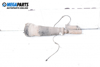 Luft-stoßdämpfer for Mercedes-Benz S-Class Sedan (W220, V220) (10.1998 - 08.2005), sedan, position: rechts, vorderseite