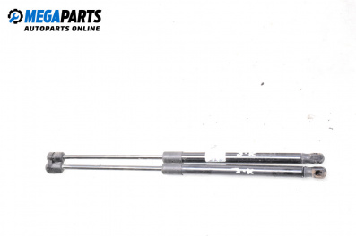 Tije telescopice, portbagaj for Skoda Fabia I Combi (04.2000 - 12.2007)