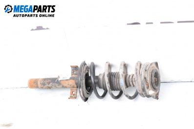MacPherson-federbein for Renault Scenic II Minivan (06.2003 - 07.2010), hecktür, position: links, vorderseite