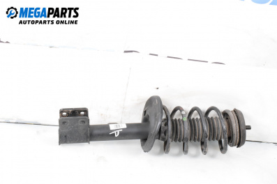 MacPherson-federbein for Citroen C4 Hatchback II (11.2009 - ...), hecktür, position: rechts, vorderseite
