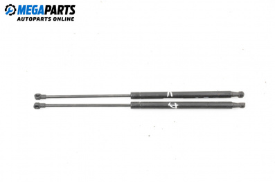 Tije telescopice, portbagaj for Audi A4 Avant B6 (04.2001 - 12.2004)