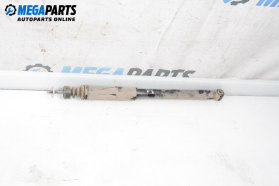 Shock absorber for Dacia Sandero Hatchback I (06.2008 - 12.2012), hatchback, position: rear - left
