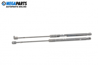 Stoßdämpfer heckklappe for Dacia Sandero Hatchback I (06.2008 - 12.2012)