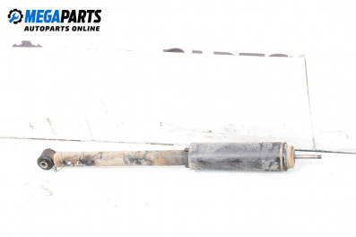Amortizor for Fiat Bravo II Hatchback (11.2006 - 06.2014), hatchback, position: dreaptă - spate